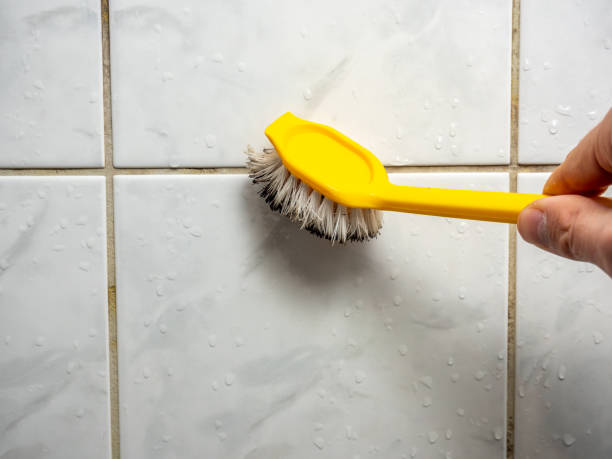 Best Mold Removal Near Me  in Leavenworth, WA