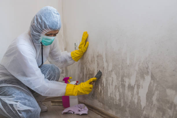 Best Office Mold Removal Services  in Leavenworth, WA