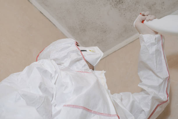 Best Mold Testing  in Leavenworth, WA