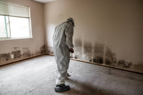 Best Mold Removal Near Me  in Leavenworth, WA