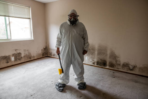 Best Same-Day Mold Removal  in Leavenworth, WA