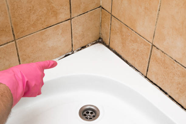 Best Mold Remediation  in Leavenworth, WA